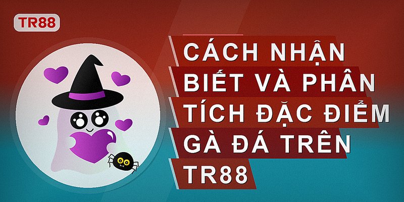 Cách nhận biết và phân tích đặc điểm gà đá trên Tr88